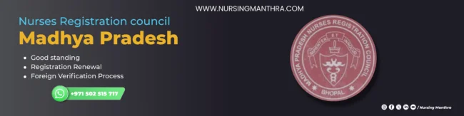 NMBI Registration Process for Nurses in Ireland
