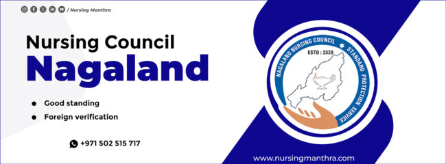 Uttar Pradesh Nurses & Midwives Council: Good standing and Foreign verification Process: