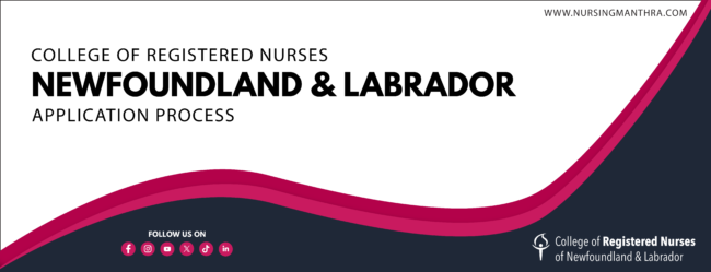 License Application Process for Midwifes in USA for Internationally educated Midwives: