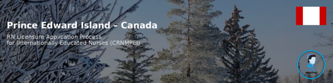 Assam Nurses Midwives & Health Visitor Council: Good standing, Registration Renewal and Foreign verification Process: